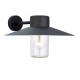 Endon-60798 - Fenwick - Outdoor Textured Black & Clear Glass Wall Lamp