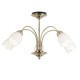 Endon-124-5AB - Petal - Antique Brass & Opal Glass 5 Light Centre Fitting