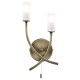 Endon-146-2AB - Havana - Frosted Glass with Antique Brass 2 Light Wall Lamp