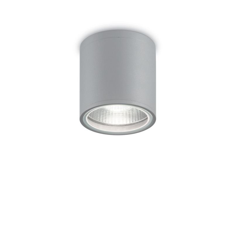 IdealLux-163642 - Gun - Outdoor Grey Ceiling Lamp