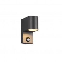 Roya - Anthracite PIR Wall Lamp Roya - Anthracite PIR Wall Lamp