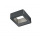 - Reno - Anthracite Up & Down LED Wall Lamp Trio-220760142 - Reno - Anthracite Up & Down LED Wall Lamp