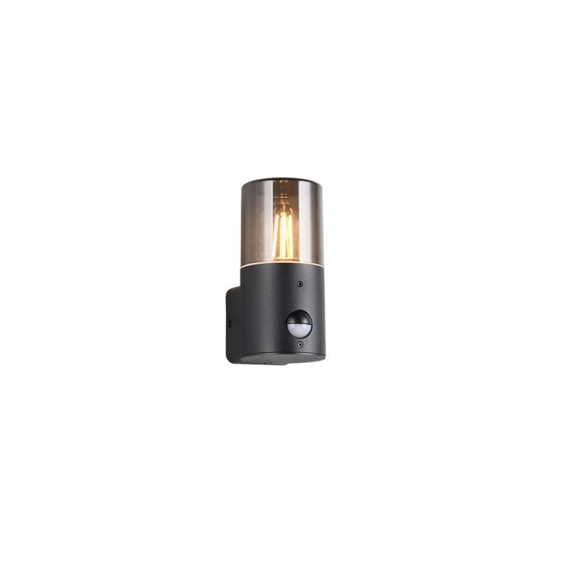 - Hoosic - Matt Black PIR Wall Lamp with Smoked Diffuser Trio-222260132 - Hoosic - Matt Black PIR Wall Lamp with Smoked Diffuser