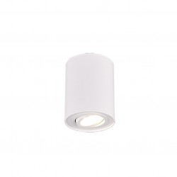 Cookie - Adjustable Surface Mounted White Cylindrical Spotlight Cookie - Adjustable Surface Mounted White Cylindrical Spotlight
