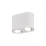 Cookie - Adjustable Surface Mounted White Twin Spotlight Cookie - Adjustable Surface Mounted White Twin Spotlight