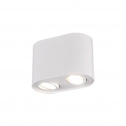 Cookie - Adjustable Surface Mounted White Twin Spotlight Cookie - Adjustable Surface Mounted White Twin Spotlight
