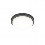 Bermejo - Anthracite CCT Ceiling Lamp with Sensor