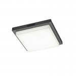 Bermejo - Anthracite CCT Ceiling Lamp with Sensor