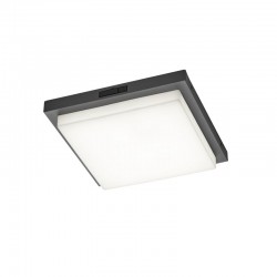 Bermejo - Anthracite CCT Ceiling Lamp with Sensor Bermejo - Anthracite CCT Ceiling Lamp with Sensor