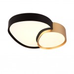 Rise - Black & Gold CCT Ceiling Lamp with Remote Control Rise - Black & Gold CCT Ceiling Lamp with Remote Control