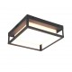 - Witham - Anthracite CCT Flush IP54 Trio-677860142 - Witham - Anthracite CCT Flush IP54