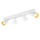 Trio-817100431 - Sharp - Matt White 4 Spotlights with Gold Inner Ring