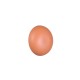 Trio-R24431140 - Davey - Rechargeable Apricot LED Wall Lamp
