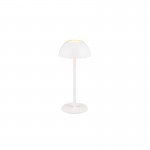Ricardo - Portable Indoor/Outdoor Rechargeable White LED Table Lamp Ricardo - Portable Indoor/Outdoor Rechargeable White LED Table Lamp