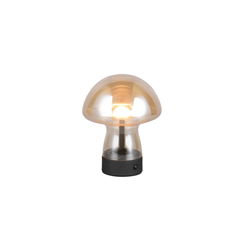 Trio-R54981113 - Dooley - Rechargeable Amber LED Table Lamp