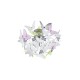 - Butterfly - Chrome Ceiling Lamp with Multicolour Butterfly Trio-R60213017 - Butterfly - Chrome Ceiling Lamp with Multicolour Butterfly