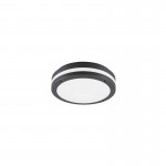 Kendal - Anthracite LED Ceiling Lamp with White Diffuser IP54 Kendal - Anthracite LED Ceiling Lamp with White Diffuser IP54