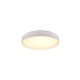 Ceiling Lights - Felis - Matt White CCT Ceiling Lamp with Remote Control Ø 40 cm Trio-R64391031 - Felis - Matt White CCT Ceiling Lamp with Remote Control Ø 40 cm