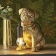 Endon-107324 - Animal - Pug Puppy Vintage Gold Table Lamp