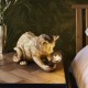 Endon-107389 - Animal - Kitten Vintage Gold Table Lamp