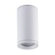 - Dango - Surface-Mounted White Cylindrical Spotlight IP65 Saxby-110972 - Dango - Surface-Mounted White Cylindrical Spotlight IP65