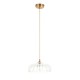 Endon-121005 - Eltham & Camellia - Brushed Aged Brass Pendant with Decorative Glass