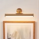 Endon-124634 - Cirali - Warm Brass USB Rechargeable Picture Light