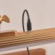 Endon-124634 - Cirali - Warm Brass USB Rechargeable Picture Light