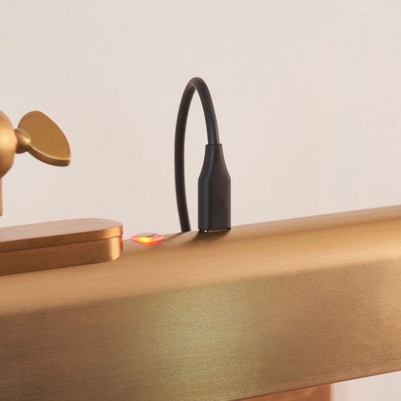 Endon-124636 - Dalyan - Warm Brass USB Rechargeable Picture Light