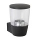Outdoor - Canillo - Clear with Matt Antracite Wall Lamp Saxby-67697 - Canillo - Clear with Matt Antracite Wall Lamp
