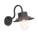 Endon-70331 - Chesham - Textured Black & Glass PIR Wall Lamp