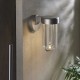 Ambience-92782 - Onix - Outdoor Brushed Silver LED Wall Lamp with Clear Glass