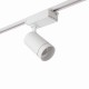 Spot & Downlights - Cody - LED 3000K White Track Head Spotlight Saxby-94433 - Cody - LED 3000K White Track Head Spotlight