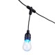 Saxby-96198 - Festoon Smart - Outdoor Black Cable with 12 Smart Lights