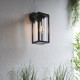 Endon-96917 - Hamden - Outdoor Clear Glass & Textured Black Wall Lamp