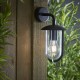 Endon-96922 - Quinn - Outdoor Clear & Black Downlight Wall Lamp