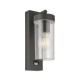 Saxby-99756 - Hayden - Anthracite Grey & Clear Polycarbonate PIR Wall Lamp