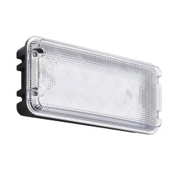 Avit - Clear & Black CCT Bulkhead IP65