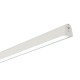 Saxby-120816 - Austen - Matt White CCT Linear Profile