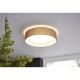 Eglo-31589 - Pasteri - Taupe & White with Diffuser Ceiling Lamp