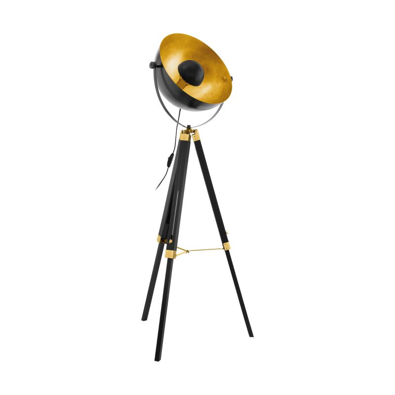 Eglo-49618 - Covaleda - Black & Gold Floor Lamp