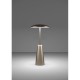 Eglo-900924 - Piccola - Portable Rechargeable CCT Table Lamp