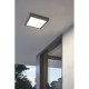 Bathroom Lights - Argolis - Outdoor LED Anthracite Wall/Ceiling Lamp Eglo-96495 - Argolis - Outdoor LED Anthracite Wall/Ceiling Lamp