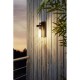 Eglo-97261 - Bovolone - Outdoor Clear Glass with Black Wall Lamp