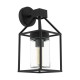 Eglo-97296 - Trecate - Outdoor Clear Glass & Black Wall Lamp