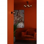 Cradle - Black 5 Light Ceiling Lamp with Smoked Glass Cradle - Black 5 Light Ceiling Lamp with Smoked Glass
