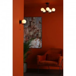 Cradle - Black 5 Light Ceiling Lamp with White Glass Cradle - Black 5 Light Ceiling Lamp with White Glass