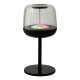 Dar_Vol3-EZE4222 - Ezera - Rechargeable Black RGB Table Lamp IP44