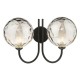 Dar-JAR0922-10 - Jared - Dimple Smoky Glass & Black 2 Light Wall Lamp