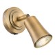 Dar-JED0742 - Jedrek - Aged Brass Single Spotlight